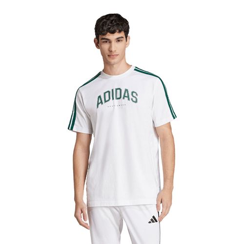Remera Adidas Sportswear COLLEGIATE LINEAR HOMBRE