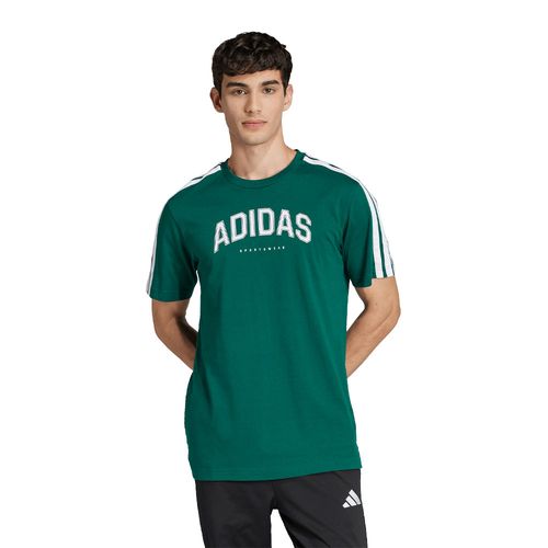 Remera Adidas Sportswear COLLEGIATE LINEAR HOMBRE