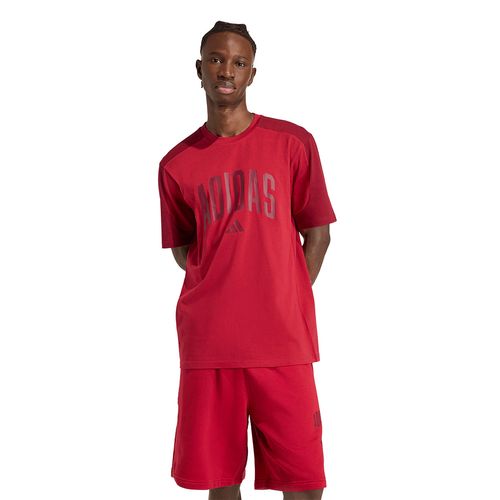 REMERA ADIDAS SPORTSWEAR COLLEGIATE HOMBRE