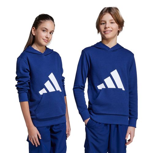 BUZO ADIDAS SPORTSWEAR ESSENTIALS NIÑOS
