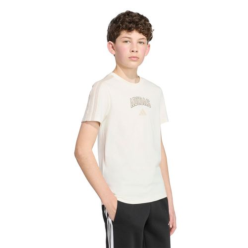 REMERA ADIDAS PERFORMANCE COLLEGIATE HOMBRE